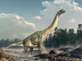 7 largest dinosaurs in world history