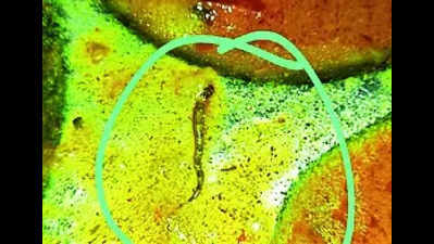 Pieces of snake found in Bihar college food, 11 students fall ill