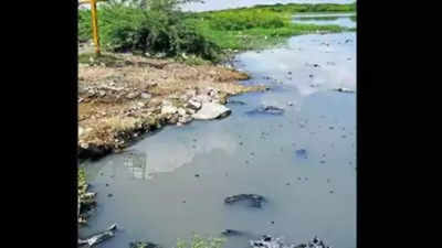 Tamilnadu's Muttukadu backwaters faces sewage, water level challenges
