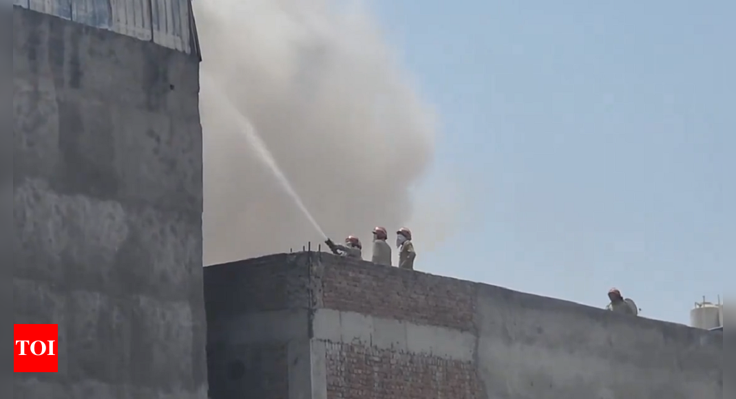fire breaks out at cardboard factory in Delhi's Mundka industrial area