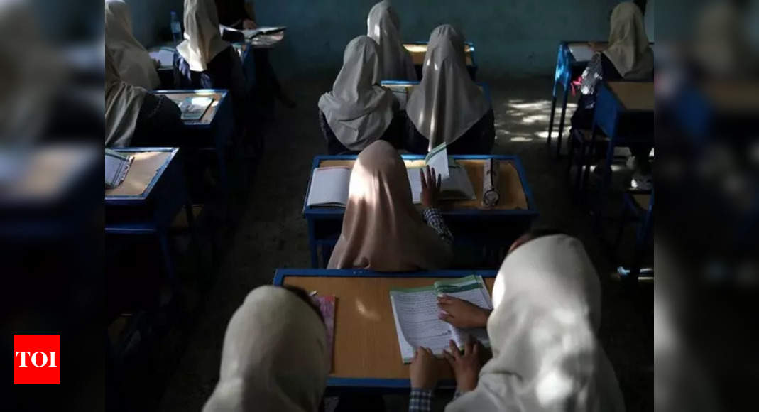 Amnesty International urges Taliban to reopen secondary schools for girls – Times of India