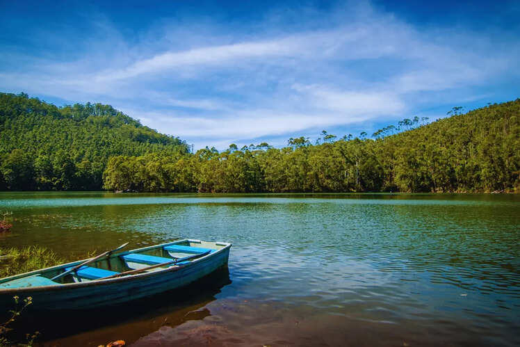 Experience the echo phenomenon at Echo Point