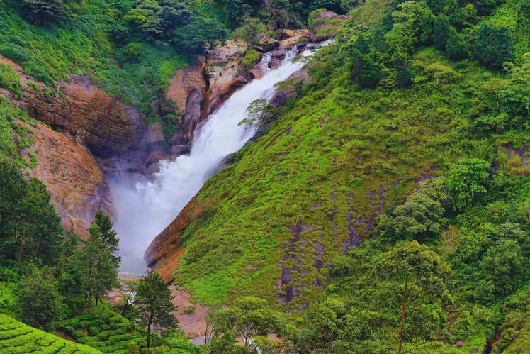 Visit the Attukad waterfalls