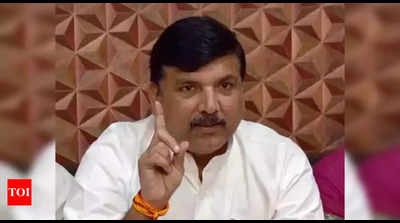 Delhi water crisis BJP-made: AAP's Sanjay Singh