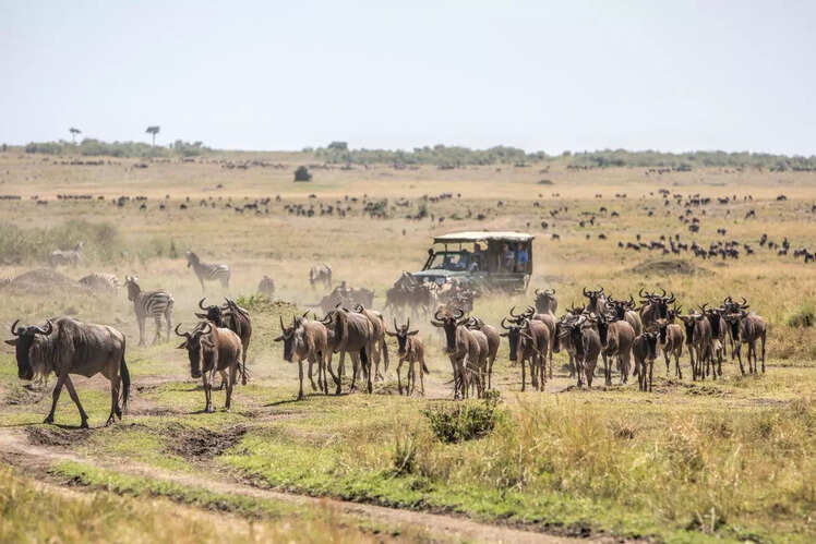 Amboseli National Park, Kenya