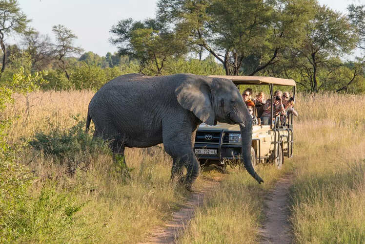 Kruger National Park, South Africa