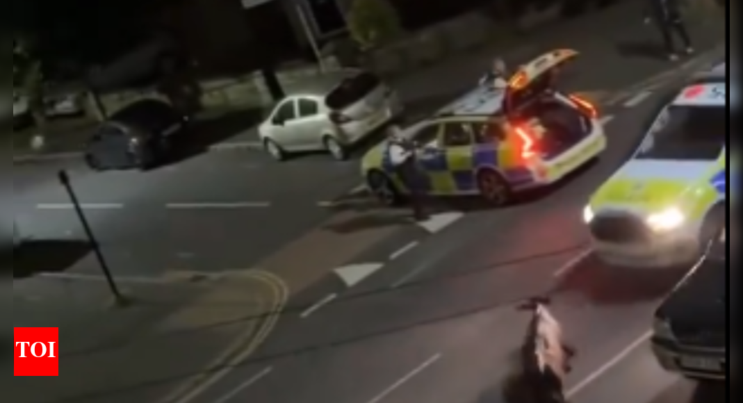 Horrific video of cattle run over in Surrey: Cop under probe, cow may still die