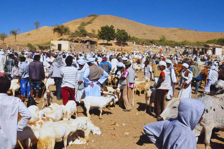 Eritrea (Independence on May 24, 1993)