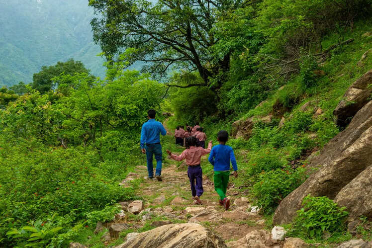 Trekking in the Nilgiris