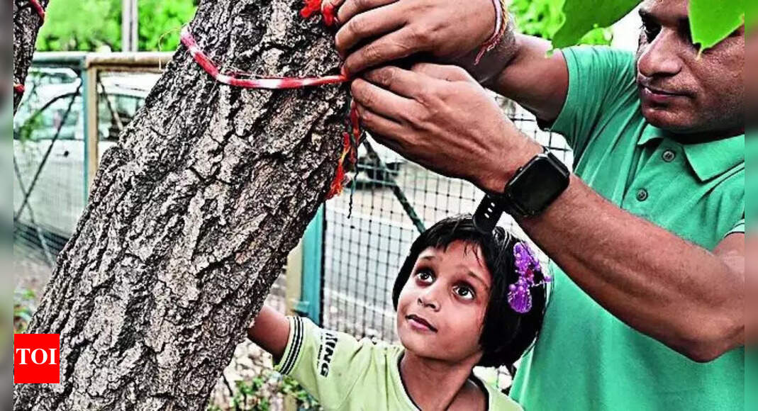 29000 trees saved, victory for Bhopal's green brigade as MP govt ...