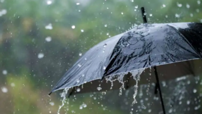 Representative Image IMD issues yellow alert for Mumbai, Thane and Raigad due to heavy rainfall
