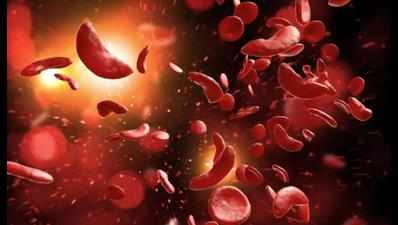 Some Vidarbha districts contribute to 70% of sickle cell cases in Maharashtra