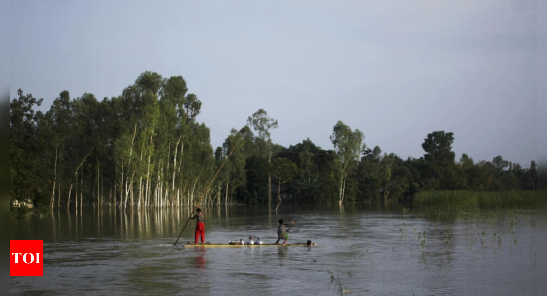 Landslides kill nine as Bangladesh lashed by rain – Times of India