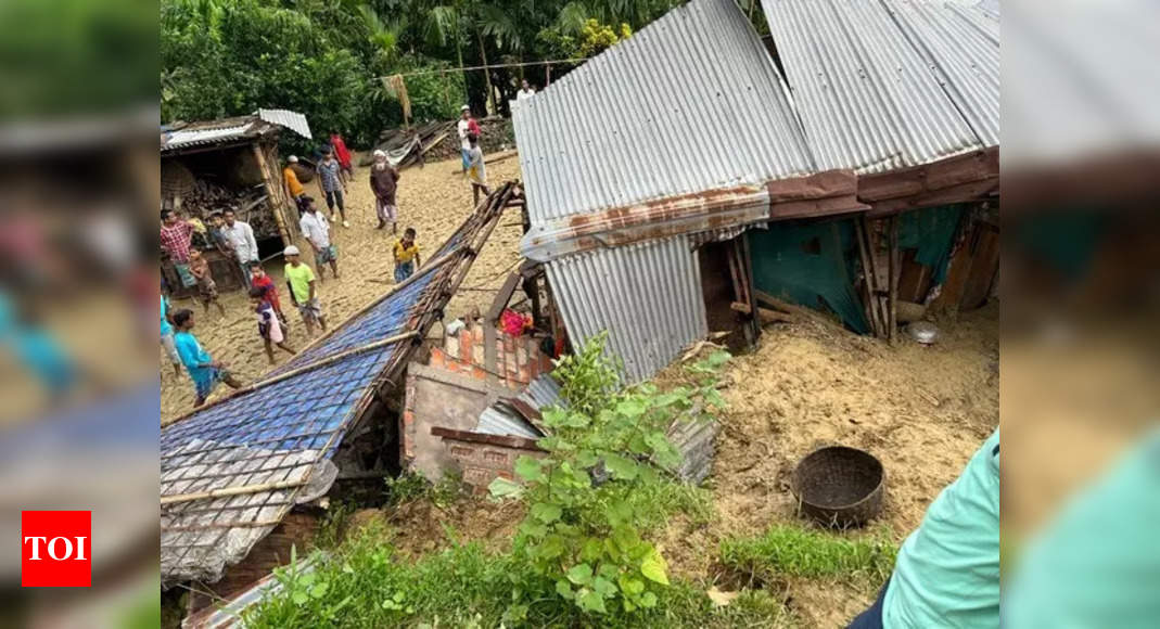 5, including 3 children, die in landslide in Assam's Karimganj