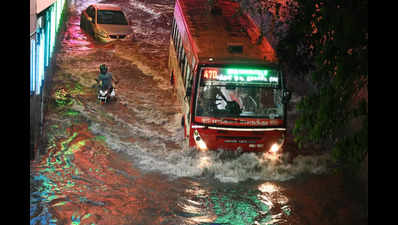 Chennai rain: Govt should take immediate steps to reduce hardships of people, Vasan says