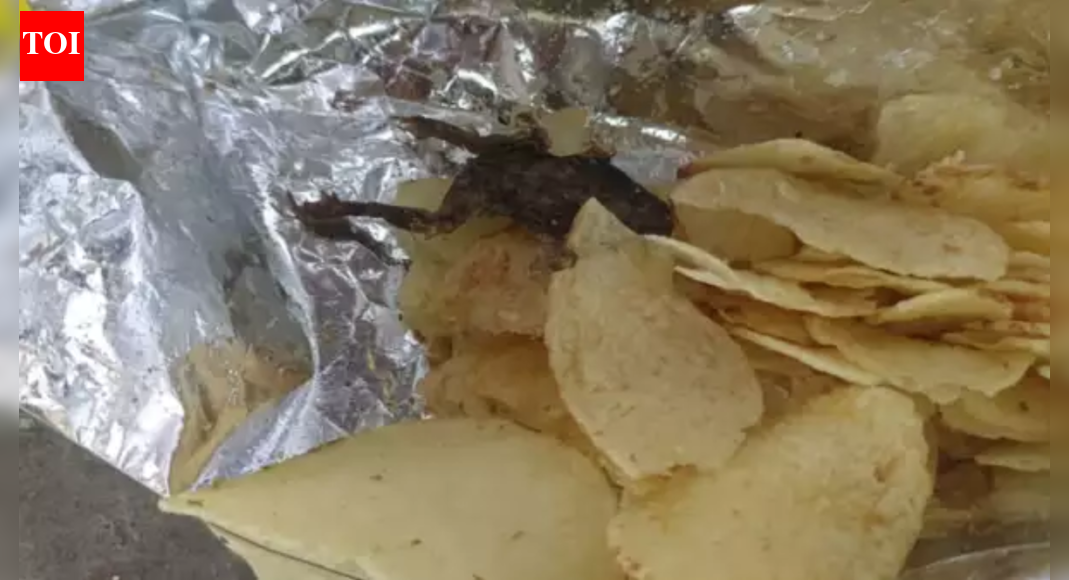 Fried Frog, Blade, Finger and other weird things found in food items
