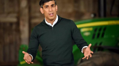 Rishi Sunak to lose seat in major Tory blackout, predicts poll