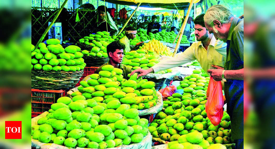 Mango Export: Dussehri mangoes from UP's Malihabad belt now available ...