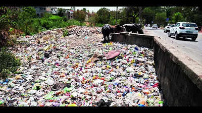 Litterbugs turn Mohali vacant lands into garbage plots