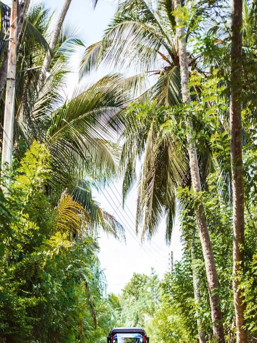 Indian destinations to visit in July 2024 | Times of India