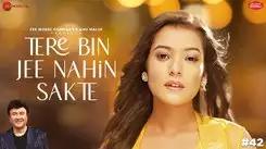 Dive Into The Latest Hindi Music Video Of Tere Bin Jee Nahin Sakte Sung By Nishtha Sharma