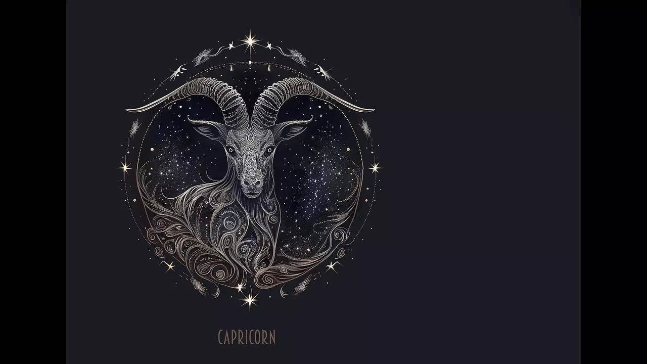 Capricorn top