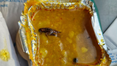 Cockroach found in Vande Bharat meal once again, IRCTC responds