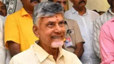 Andhra CM Naidu visits Amaravati, promises white paper on the capital city