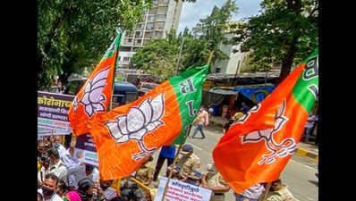 No coordination between MLAs & candidates: Feedback to BJP panel