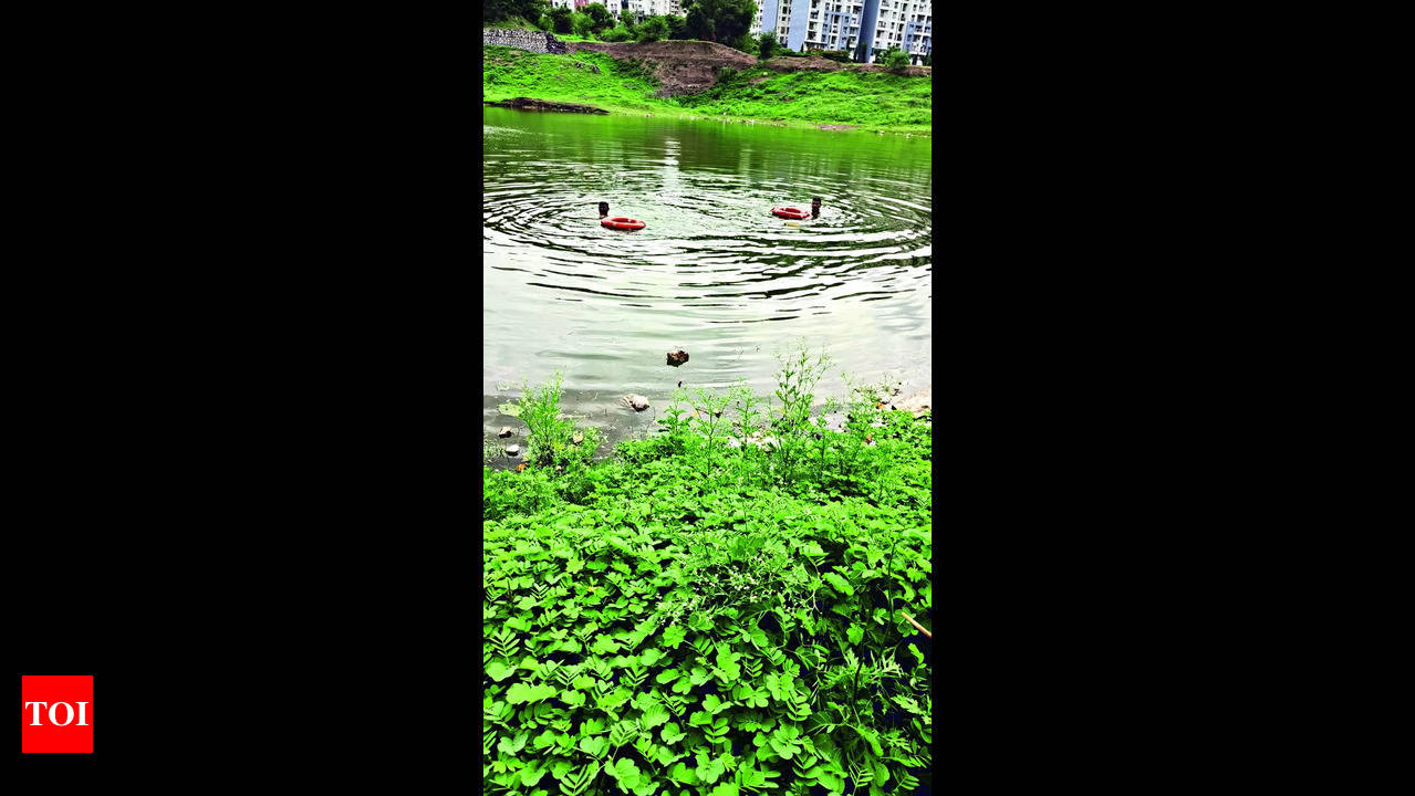 Drown: 13-year-old boy drowns in Undri quarry, five friends safe | Pune  News - Times of India