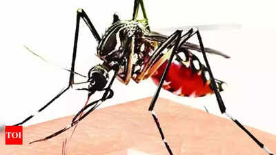 Dengue nos. up 140%; Karanataka govenment cites surveillance stronger