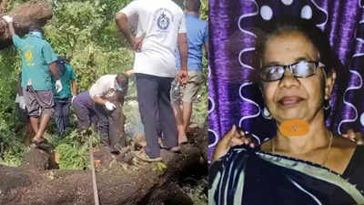 Elderly woman found dead beneath fallen tree in Mumbai's Virar