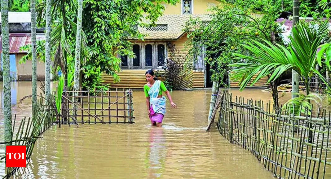 Assam Flood: Flood situation remains grim despite let-up in rain ...