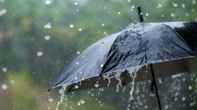 Heavy rain in parts of Goa, monsoon in normal range