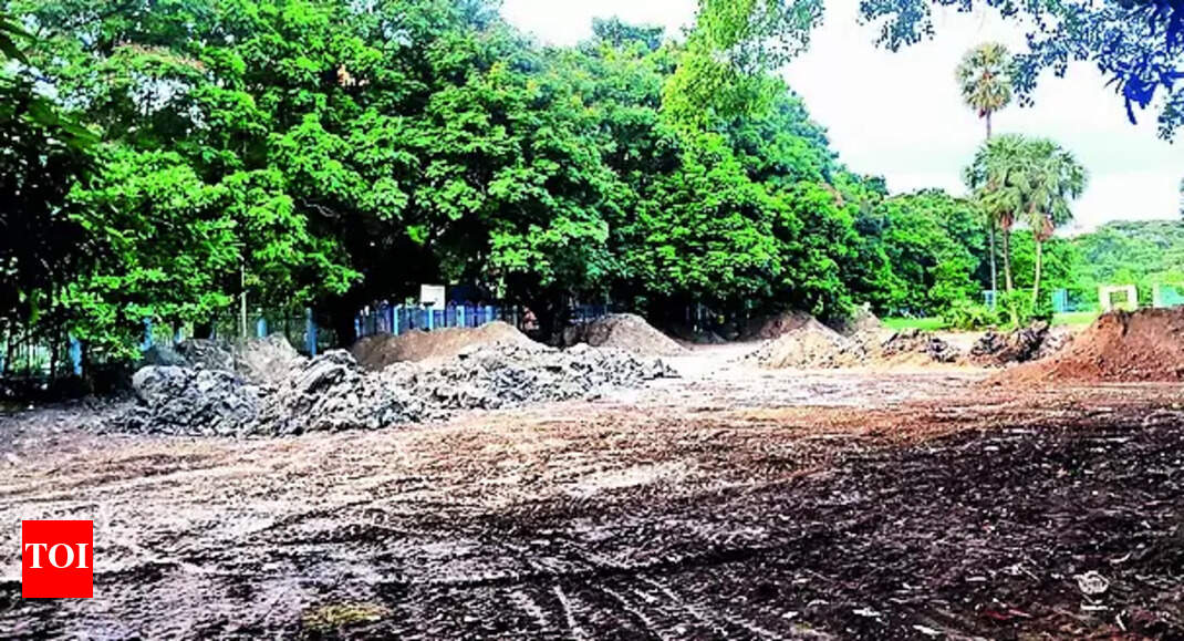 Jisshu clarifies concerns over Lake cricket camp development |