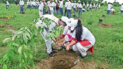 64 lakh trees to be planted in Delhi, experts question uneven green cover