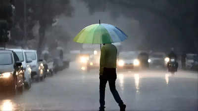 Delhi records 29.6°C minimum temperature, light rain expected