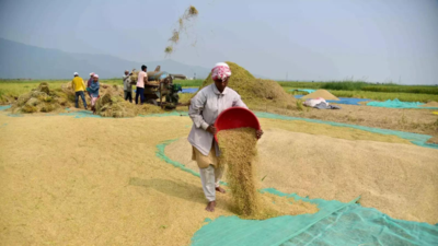 Panel: States' bonuses on top of paddy MSP distorting markets