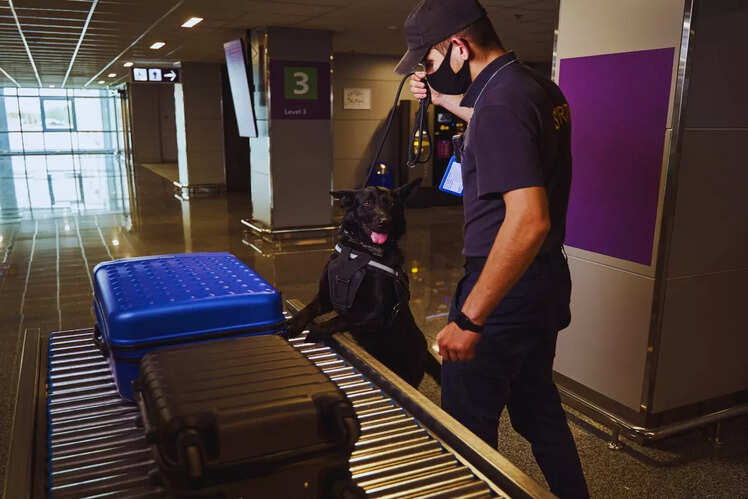 Packing restricted items