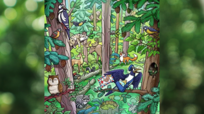 Brain teaser: Are you smart enough to spot a squirrel in this jungle?