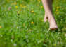Benefits of walking barefoot in grass daily for 10 minutes