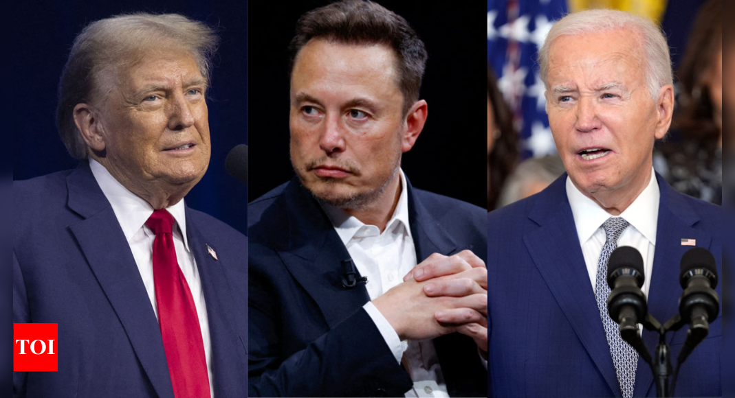'Liar or fool': Elon Musk's political post on X amid US presidential election campaigns