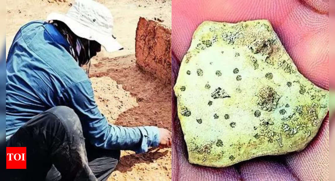 World’s oldest egg gives 1st evidence of ostrich presence in south India | India News