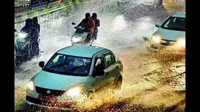 Heavy rains lash T, Vikarabad records highest at 54.8 mm