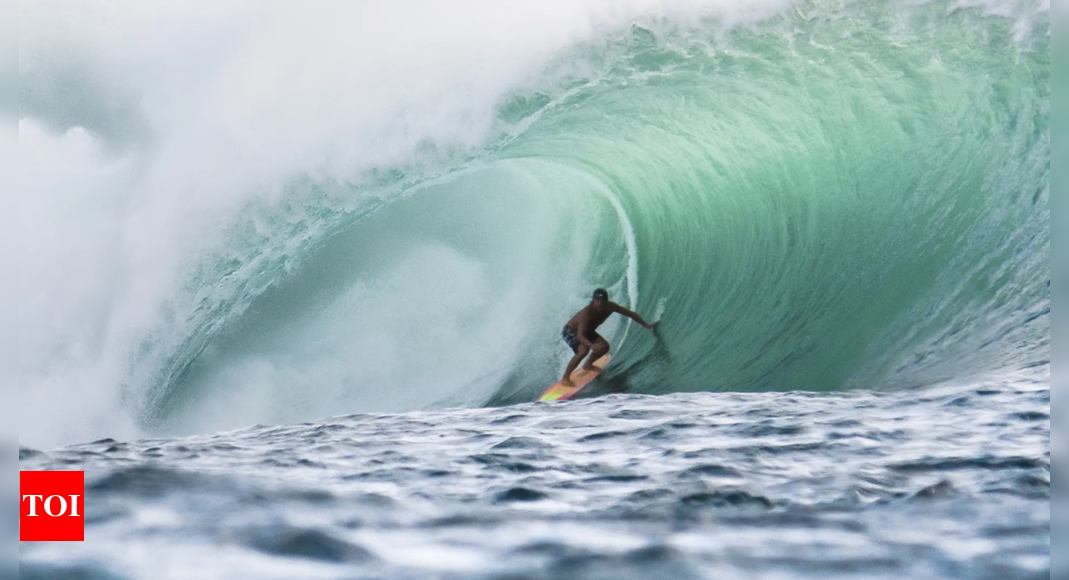 Legendary surfer and ‘Pirates of the Caribbean’ fame Tamayo Perry dies in shark attack in Hawaii – Times of India