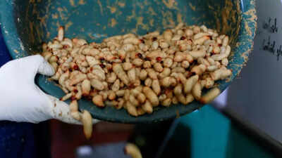 My solving playbook for 