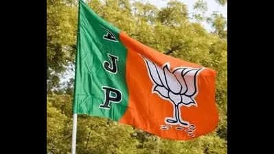BJP national executive meet likely to focus on UP debacle in Lok Sabha elections
