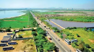 TN govt plans a high-level bridge to protect Chennai’s Pallikaranai marshland