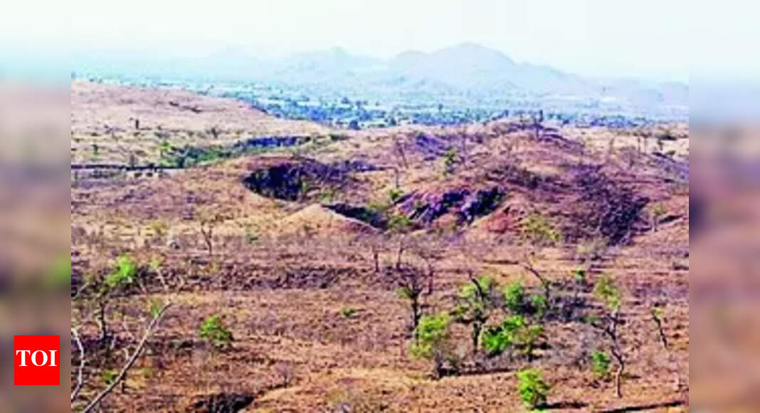 MP firm wins bid for gold mine in Banswara | Jaipur News - Times of India