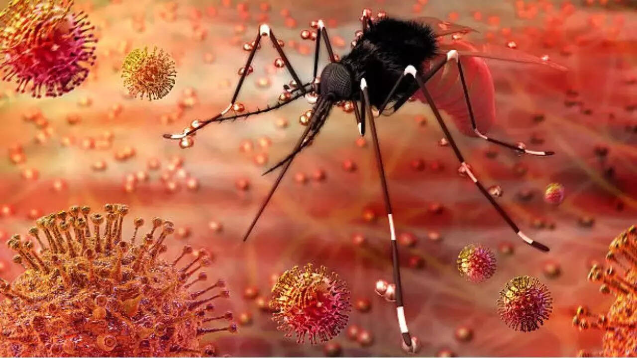 Zika virus terror in Pune: पुणे में जीका वायरस का आतंक- 6 मामले सामने आए, दो प्रेग्नेंट महिलाएं भी संक्रमित, एक्शन में आया स्वास्थ्य विभाग 3 Zika Virus: Doctor and Teen Daughter Test Positive for Zika Infection | Pune News - Times of India